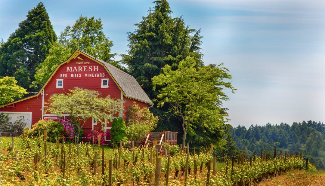Arterberry Maresh Dundee Hills Pinot Noir